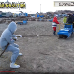 ラファエルの馬動画